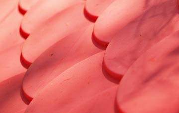 Cornsay Colliery plastic roof costs